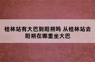 桂林站有大巴到阳朔吗 从桂林站去阳朔在哪里坐大巴